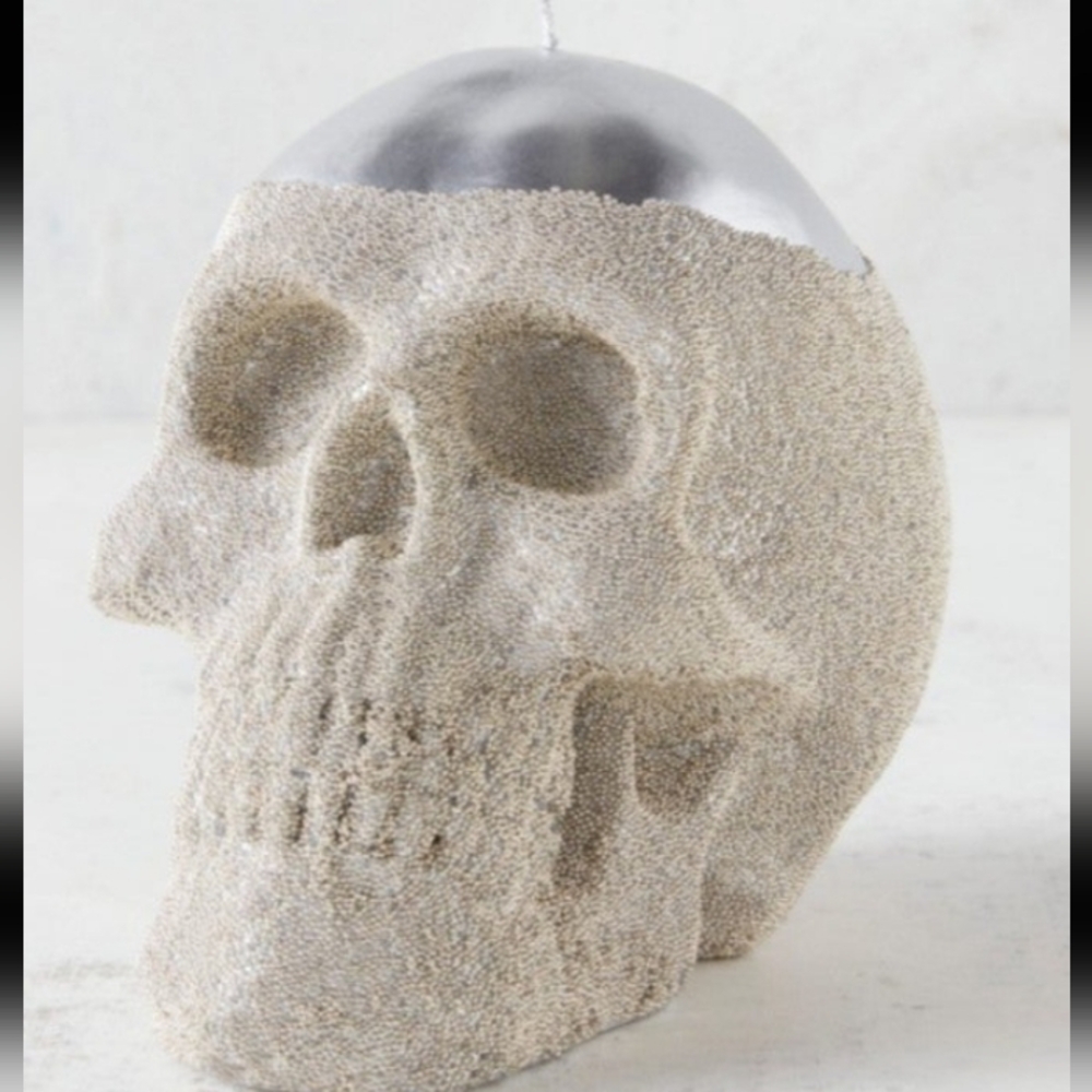 New Z Gallerie Halloween skull candle